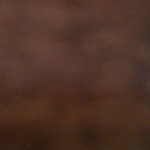 Meet your Posher, Brody